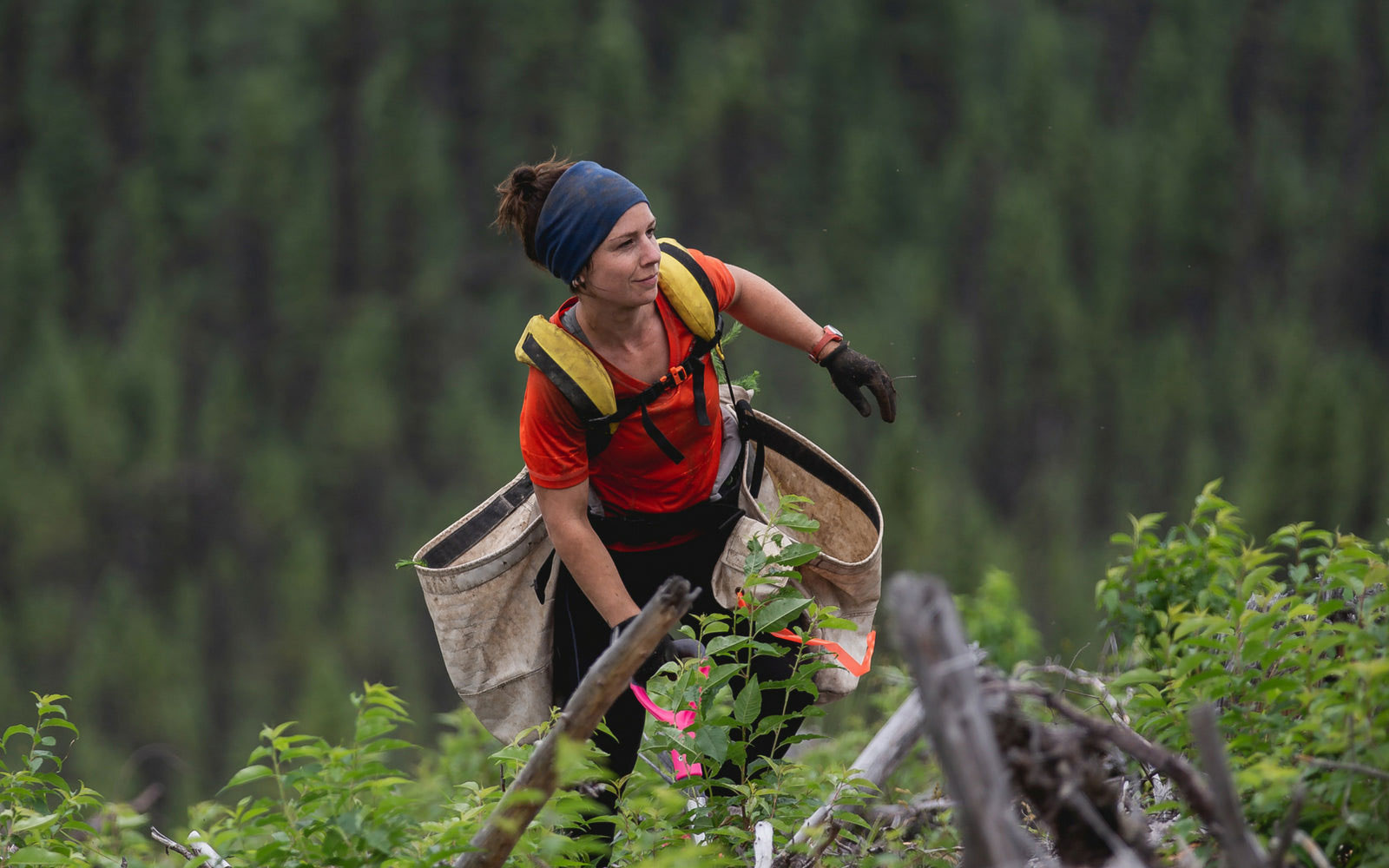 Woman tree planter carrying tree saplings