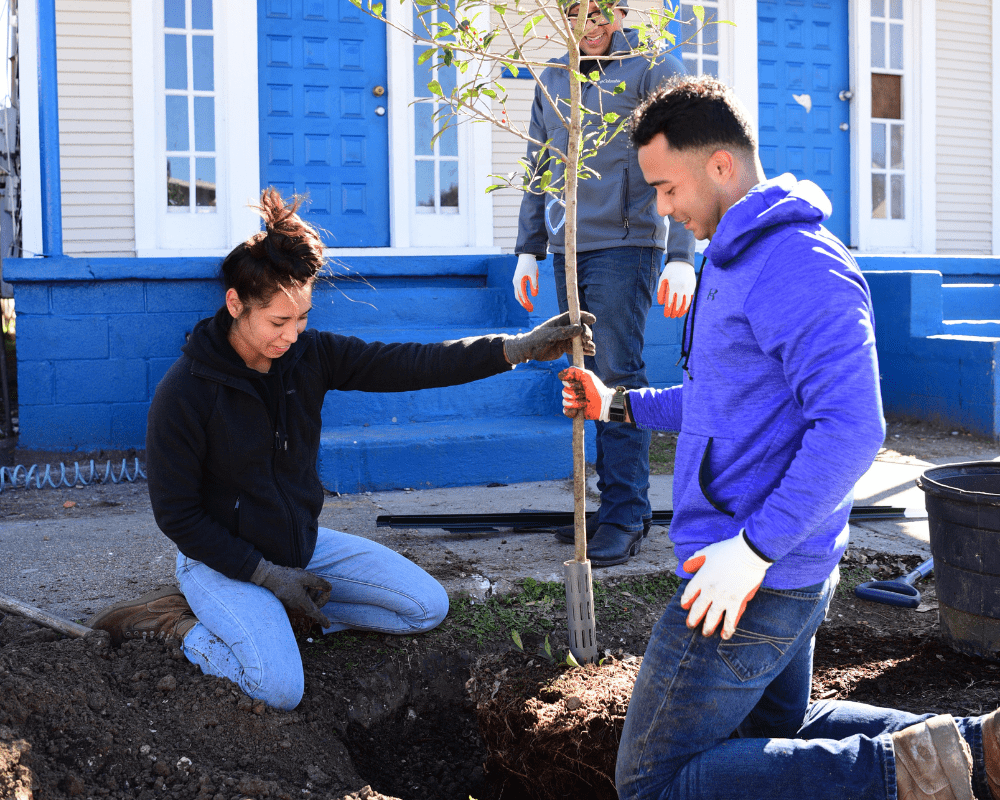 Urban Forestry