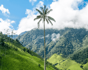 Colombia