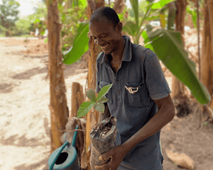 Côte d'Ivoire