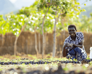 Malawi