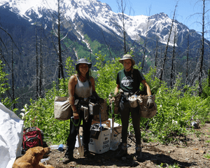 Plant Trees in British Columbia - One Tree Planted