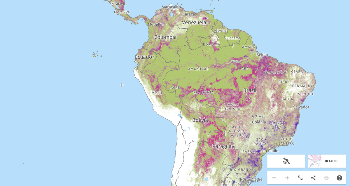 Forest Coverage in the Amazon Rainforest