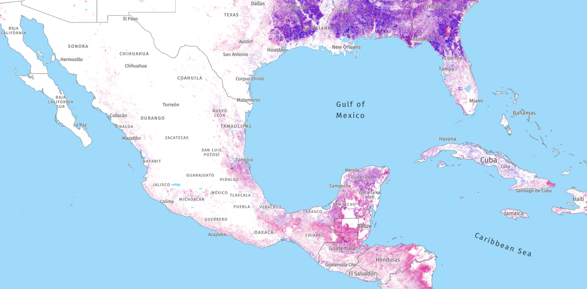 Forest Coverage in Mexico