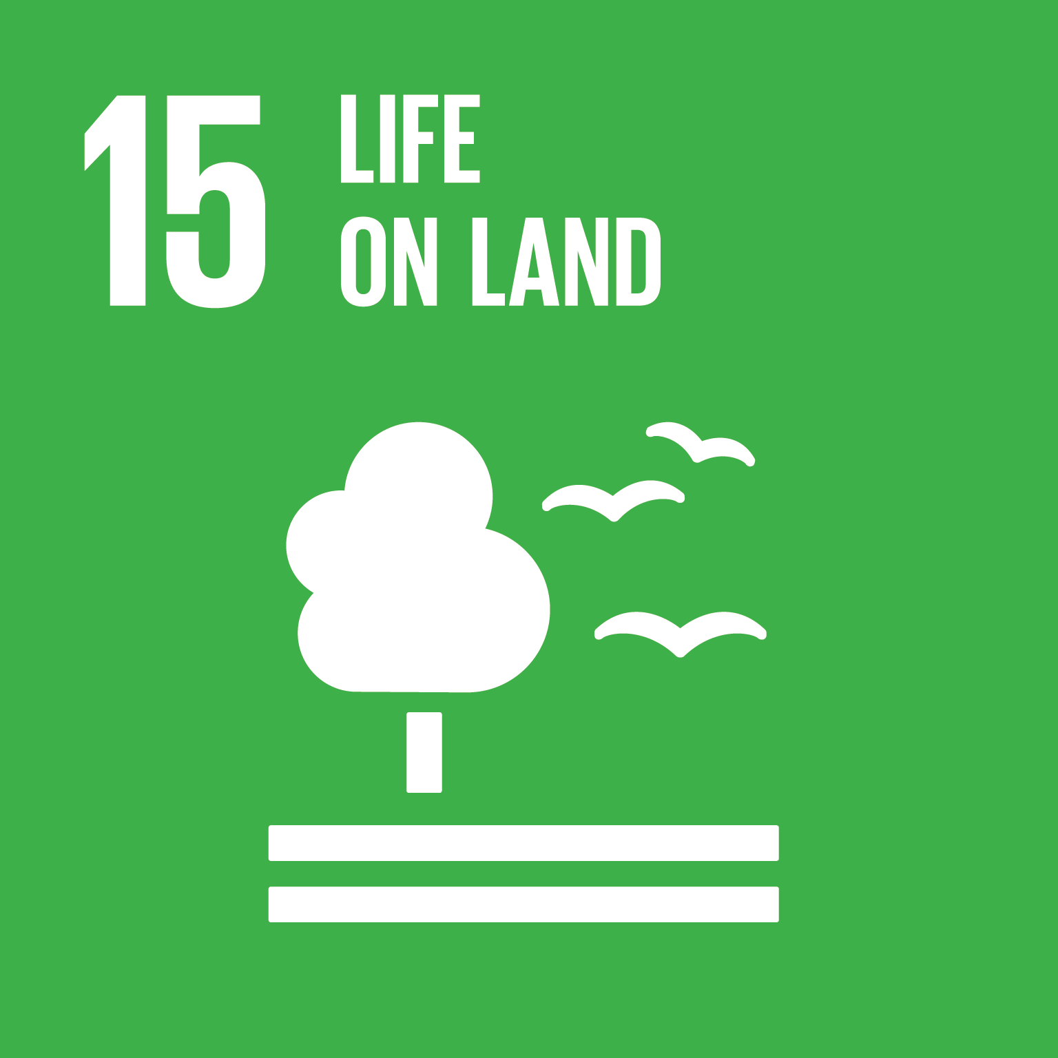 Sustainable Development Goal 15: Life on Land