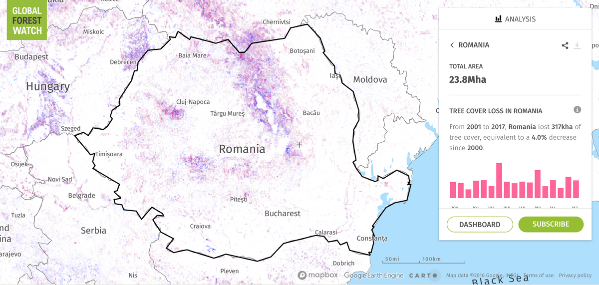 Forest Coverage in Romania