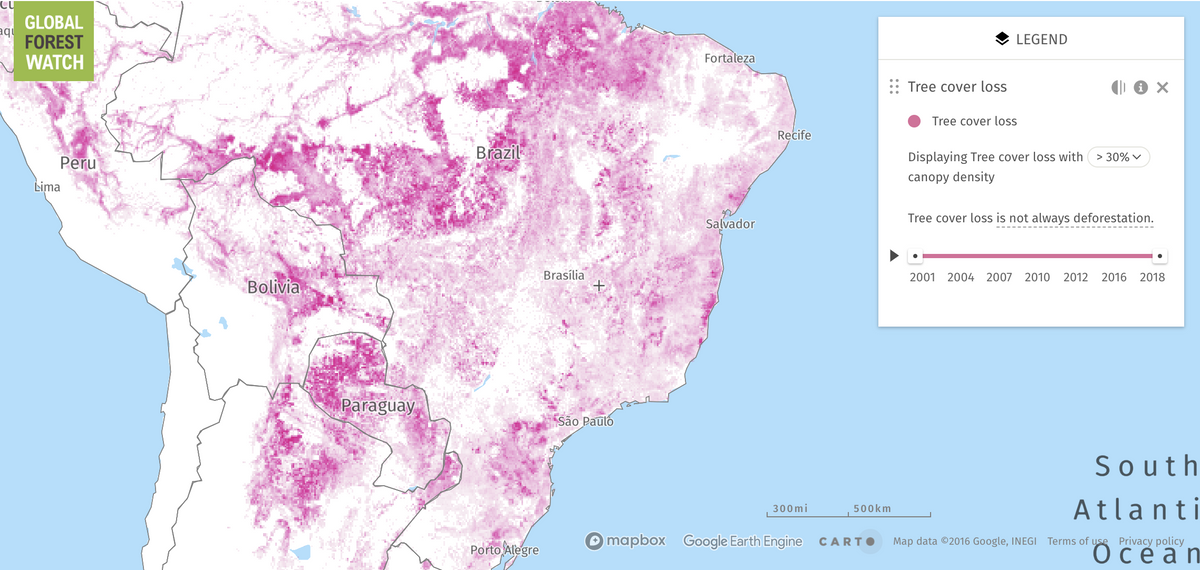Forest Coverage in Brazil