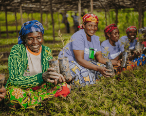 Plant Trees in Rwanda - One Tree Planted