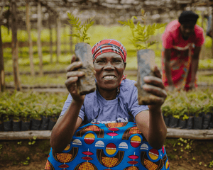 Plant Trees in Rwanda - One Tree Planted