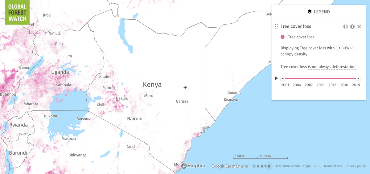 Forest Coverage in Kenya