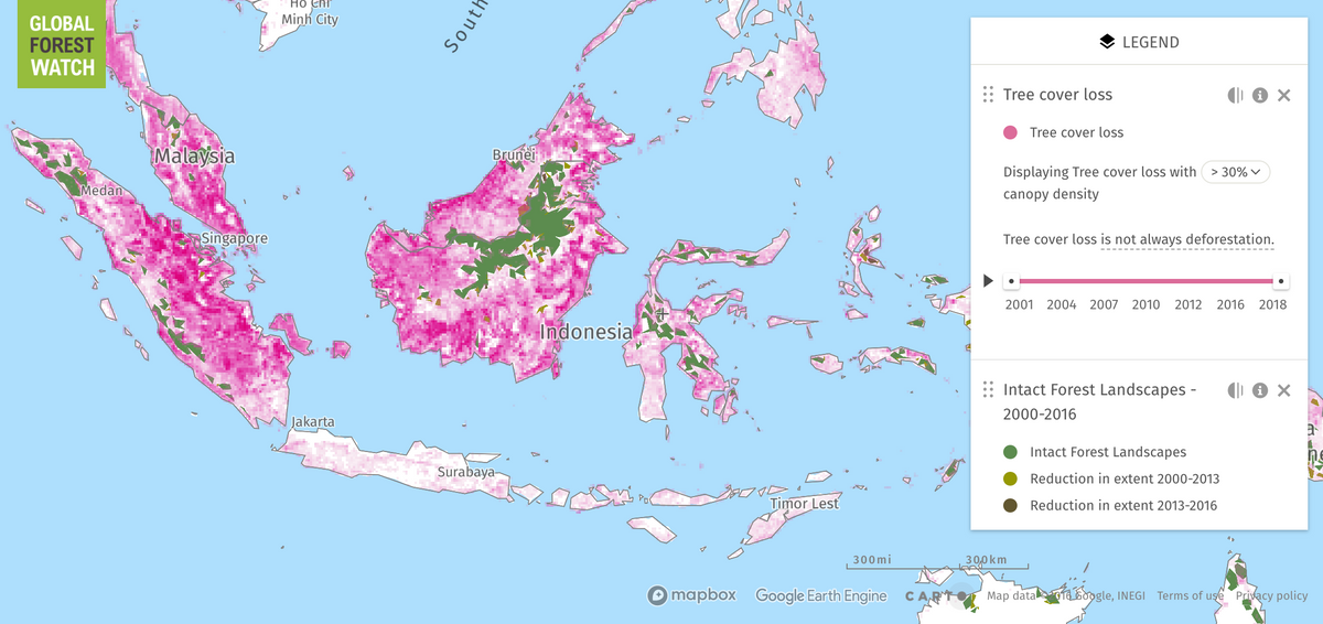 Map of deforestation in Indonesia