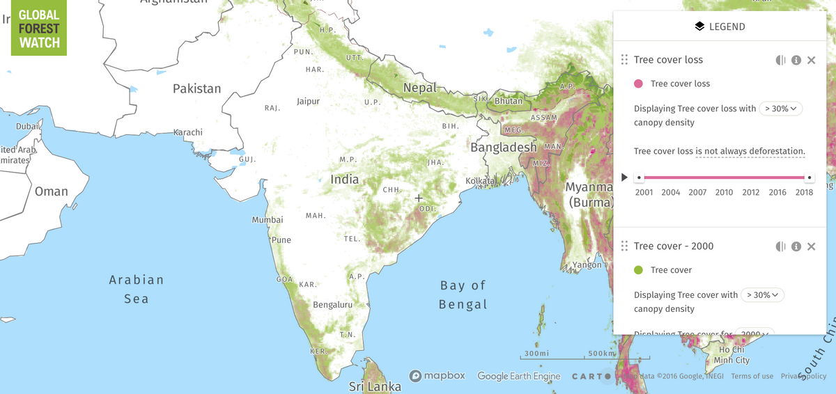 Forest Coverage in India