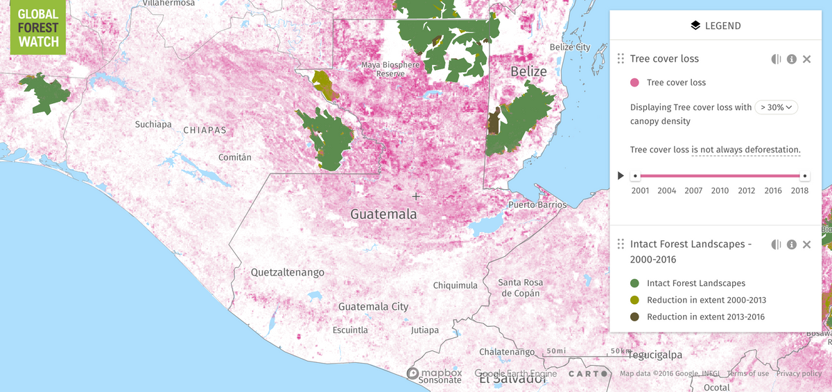 Map of Deforestation in Guatemala Map