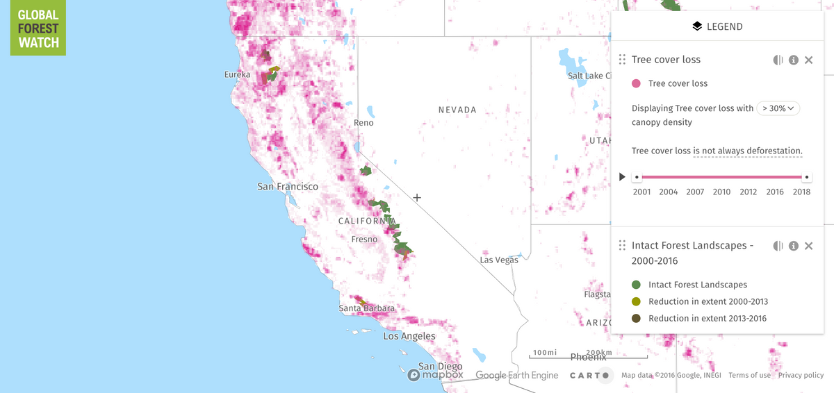 Forest Coverage in California